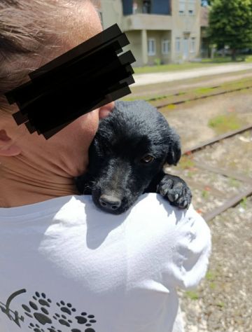 MARA & MIA, scricciole dolcissime! Amano i gatti! - Foto 5