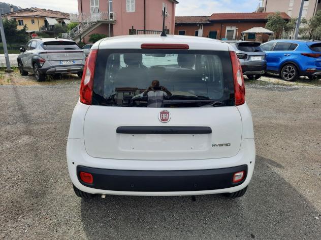 FIAT Pandina PANDA MY26 1.0 65CV HYBRID ICON - Foto 6