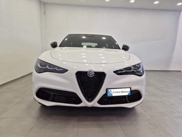 Alfa Romeo Stelvio 2.2 Td 160 CV AT8 Sprint MY2024 N1 Autocarro Cerchi19 - Foto 2