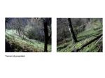 400/2024 2 BS - terreni a VESTONE