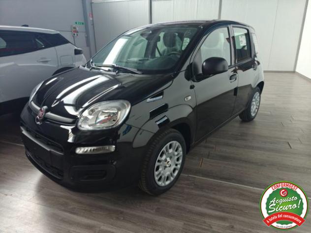 FIAT Pandina 1.0 FireFly 65 CV Hybrid Icon rif. 24112355 - Foto 2