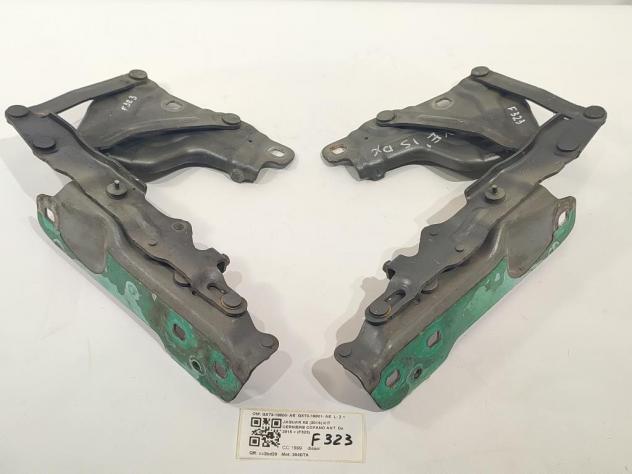 CERNIERE COFANO ANTERIORE DX E SX JAGUAR XE Serie (X760) GX73-16800- AE GX73-16801- AE 204DTA (15) - Foto 3