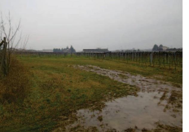 Immobile in asta di 42594 m² in vendita a Pescantina - Foto 6