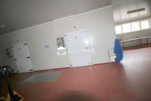 CAPANNONE di 4 vani e di 548 mq (CISON DI VALMARINO) rif. BC05 - Foto 2