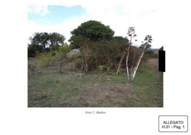 Immobile in asta di 235452 m² in vendita a Birori - Foto 11