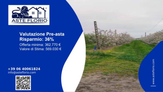 Immobile in asta di 160000 m² in vendita a Argenta