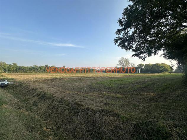 TERRENO AGRICOLO 4.400MQ - Foto 14