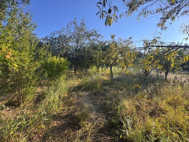 Terreno agricolo in vendita a Sant'Andrea a Montecchio - Siena 1500 mq Rif: 1428059 - Foto 6