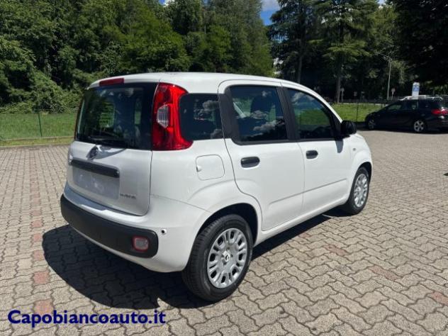 FIAT Panda 1.0 FireFly S&S Hybrid POP KM0 PROMO rif. 23776922 - Foto 4