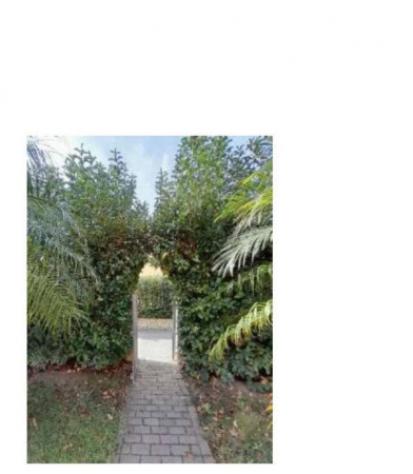 Immobile in asta di 148 m² con più di 5 locali in vendita a Campofelice di Roccella - Foto 10