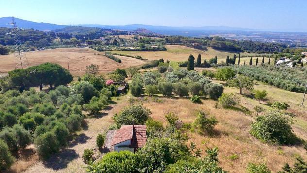 Villa in vendita a Rosignano Marittimo - Foto 10