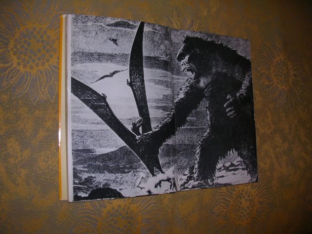 KING KONG - Foto 8