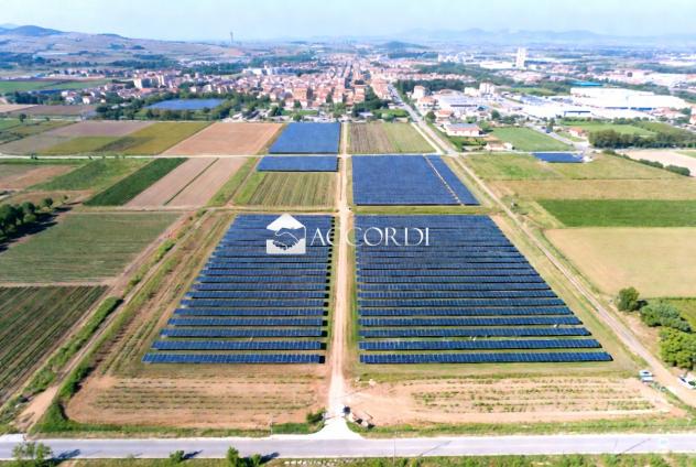 TERRENO AGRICOLO di 9010 mq (SAN MICHELE AL TAGLIAMENTO) rif. AS099 - Foto 12