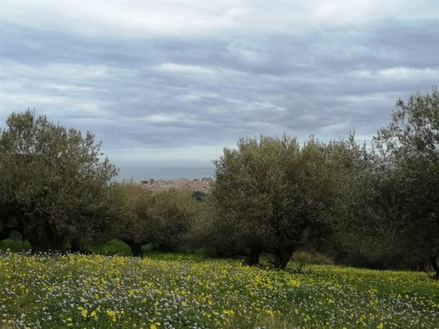 Terreno verde agricolo vista mare - Foto 6