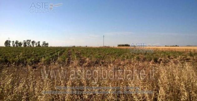 IMMOBILI-ALTRA CATEGORIA-Località Bia Mordegus - Foto 3