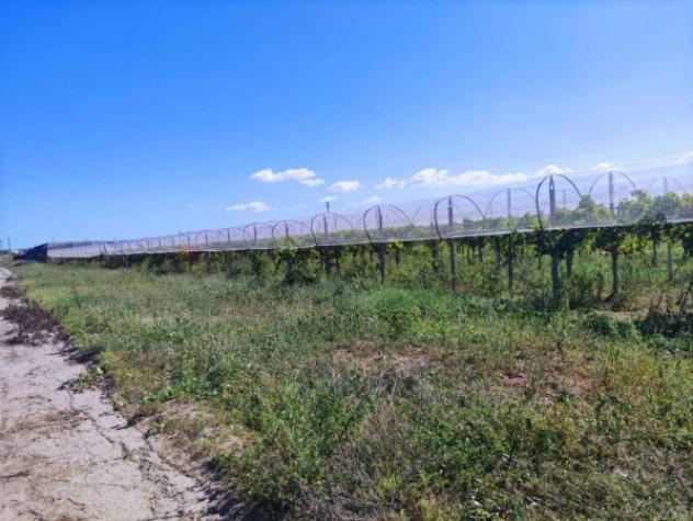 Immobile in asta di 100 m² in vendita a Licodia Eubea - Foto 8