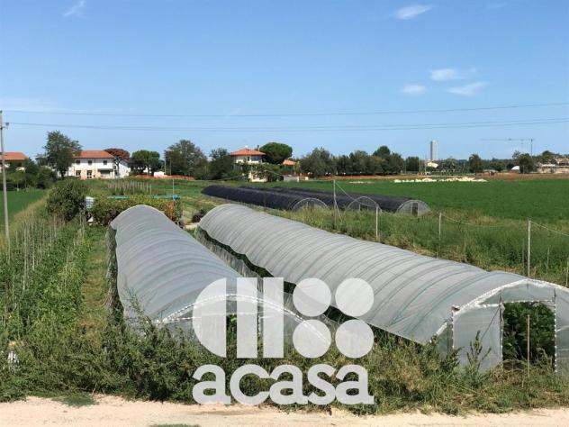 TERRENO AGRICOLO CON POZZO ARTESIANO - Foto 4