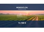 Immobile in asta di 880 m² in vendita a Mondovì