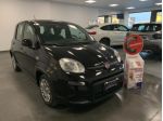 FIAT Panda 1.0 Benzina Hybrid City Life rif. 24052147