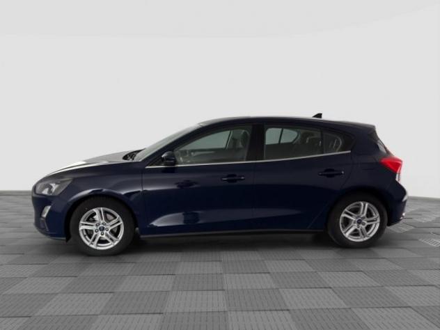 FORD Focus Focus 1.5 EcoBlue 120 CV 5p. Business rif. 24104585 - Foto 2