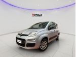 FIAT Panda 3ª serie Panda 1.2 Easy