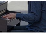 Pianista Cremona