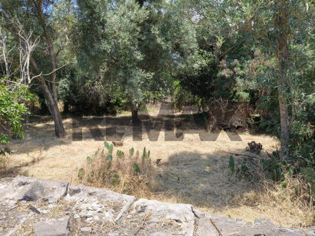Terreno in vendita a Misterbianco - Foto 5