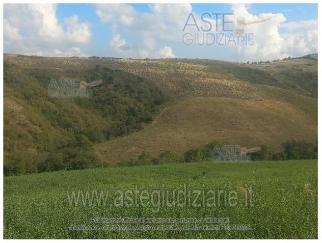 IMMOBILI-ALTRA CATEGORIA-Via Caselle, Mondaino RN, Italia - Foto 5