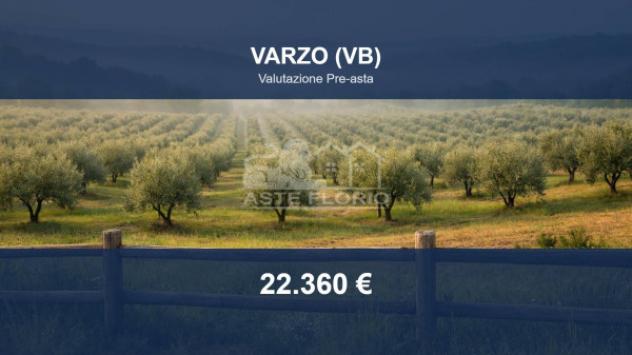 Immobile in asta di 59640 m² in vendita a Varzo