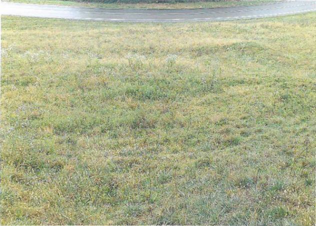 Immobile in asta di 317 m² con più di 5 locali e box auto in vendita a Sordevolo - Foto 8