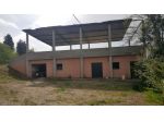 terreno edificabile con scuderia  mq 55000 Privato