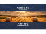 Immobile in asta di 16686 m² in vendita a Rizziconi