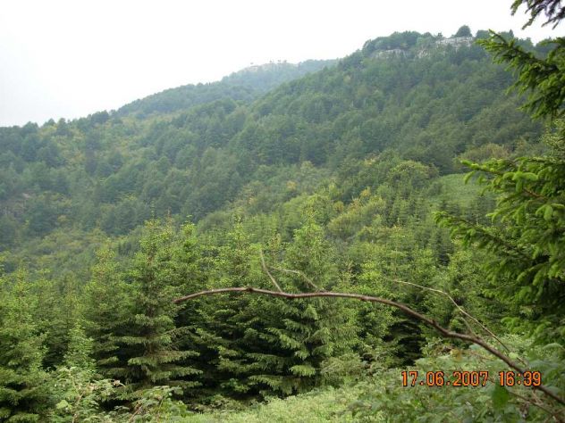 FONDO DI 101 ETTARI - Foto 2