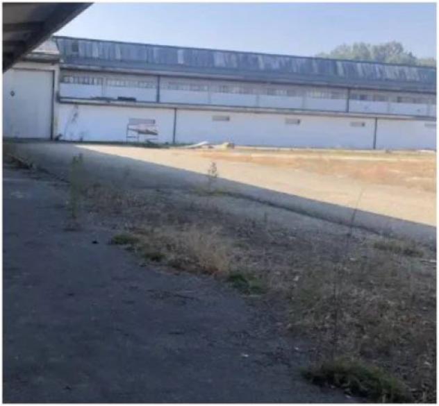 Immobile in asta di 5852 m² in vendita a Sissa Trecasali - Foto 5