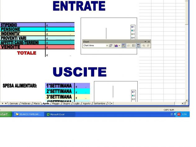SOFTWARE GESTIONALE BILANCIO FAMILIARE E C.CORRENTE - Foto 2