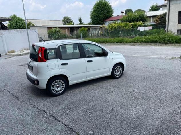 FIAT Panda 1.2 EasyPower Easy OK NEOPATENTATI rif. 23830231 - Foto 6