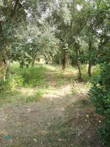 Casa semindipendente in vendita a Quercioli - Massa 180 mq Rif: 834396 - Foto 4