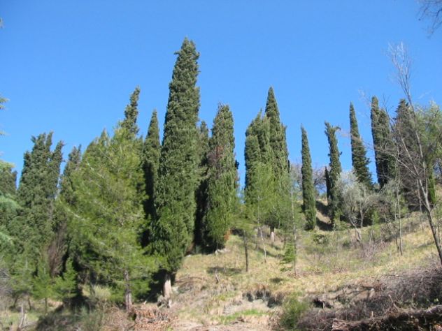 CASALE RUSTICO NEL PARCO DELLE CESANE URBINO (PU) - Foto 6