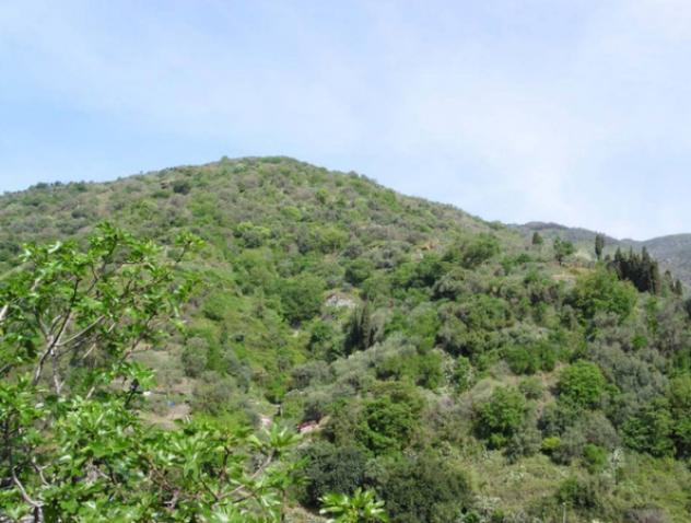 Immobile in asta di 1770 m² in vendita a Itala - Foto 9