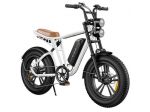 Engwe E-Bike M20 250W 48V 13Ah