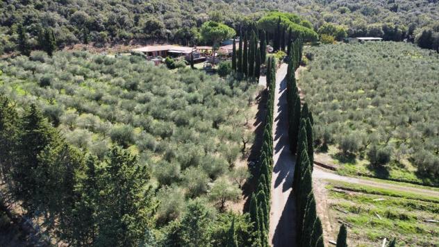 Villa in vendita a Scarlino 900 mq Rif: 1453061 - Foto 8