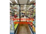 Licenze in vendita a Cecina