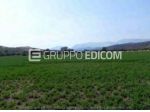 Terreno di 37060 mq  in vendita a Roggiano Gravina - Rif. 4546054