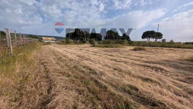 Terreno in vendita a Vittoria - Foto 6