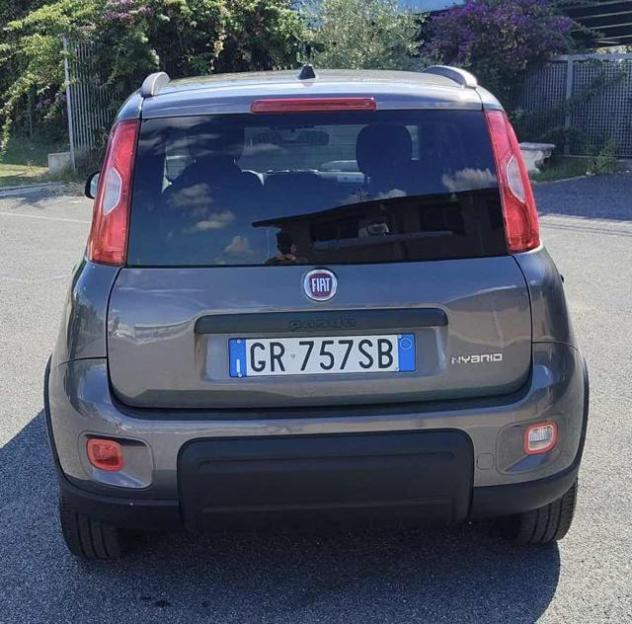 FIAT Panda 1.0 FireFly S&S Hybrid rif. 24105482