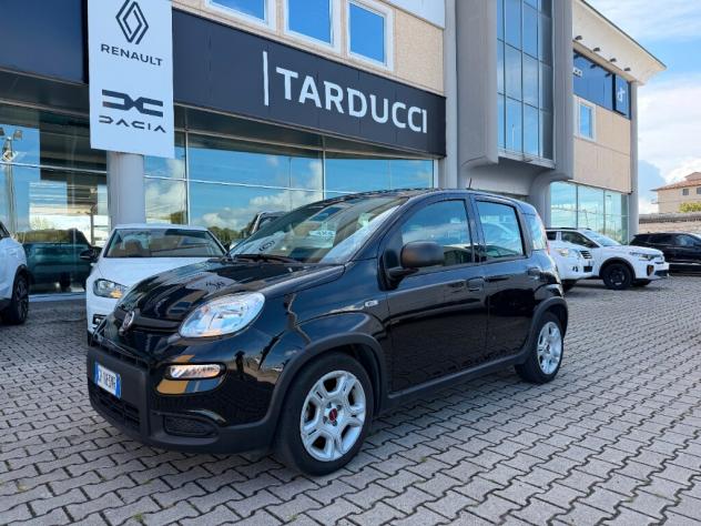 FIAT Panda 3ª serie Panda 1.0 FireFly S&S Hybrid