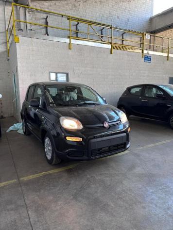 FIAT Panda New Panda 1.0 FireFly S&S Hybrid rif. 21779212 - Foto 3