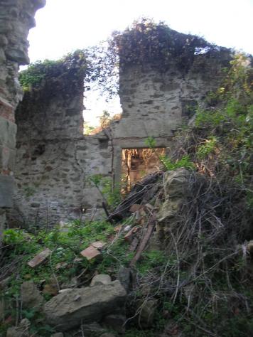 VENDESI COLONICA DA RESTAURARE IN VICCHIO LOCALITA' VIGNALE - Foto 2