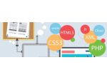 JUNIOR FULL STACK WEB DEVELOPER