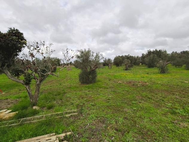 Terreno edificabile in vendita a Sannicola - Foto 6